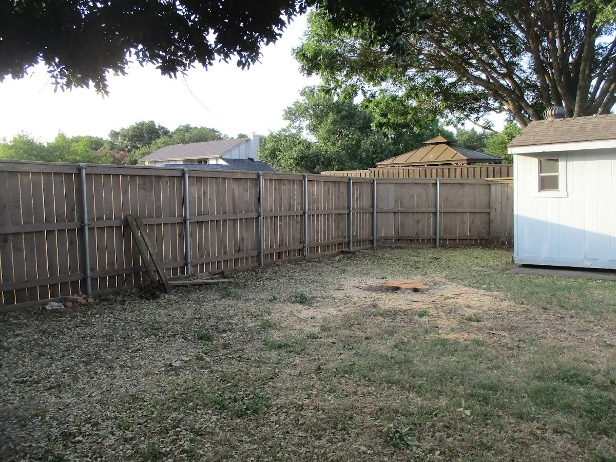 Cleared yard after professional tree removal in Calvary